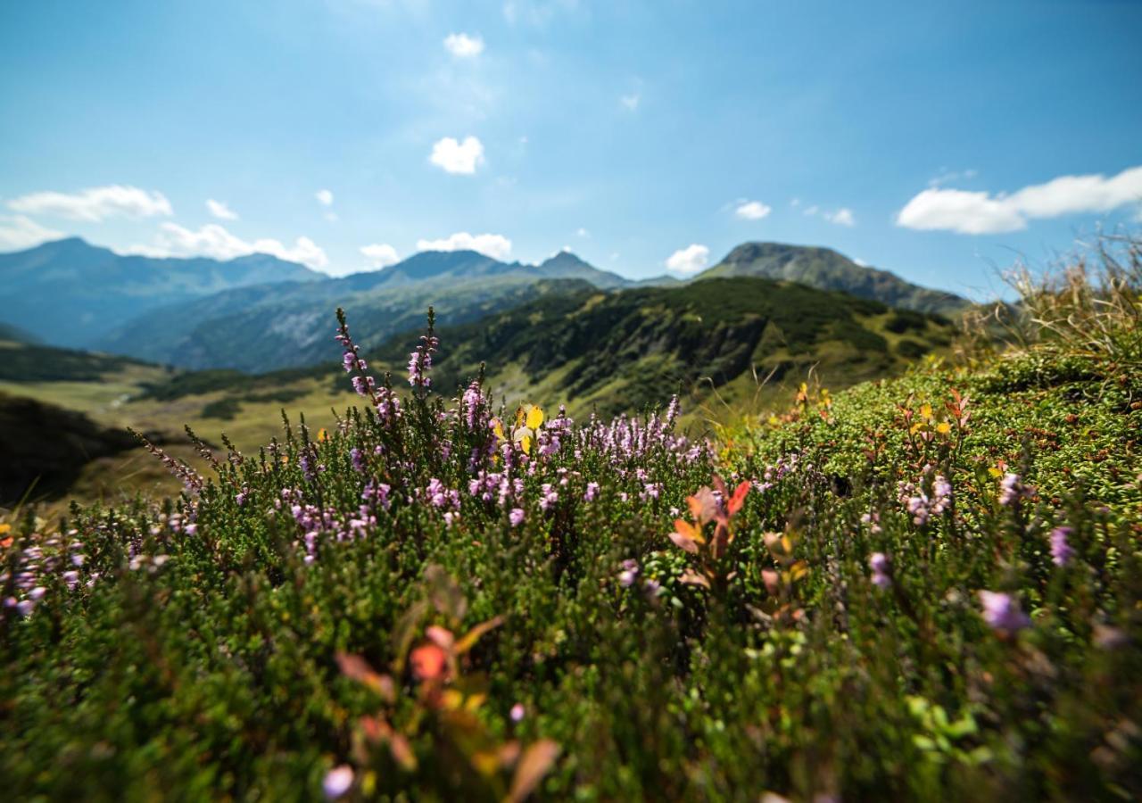 Gasthof Auwirt ซังคท์มิคาอิลอิมลุงเกา ภายนอก รูปภาพ